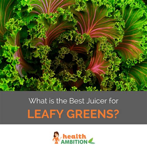 leafy greens juicer juice why