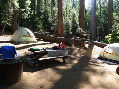 A calaveras big trees state park camping experience is a must when you're visiting. Car Camping: Calaveras Big Trees State Park | State parks ...