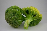 Brócoli, Brassica oleracea var. Italica, cultivo, beneficios y ...