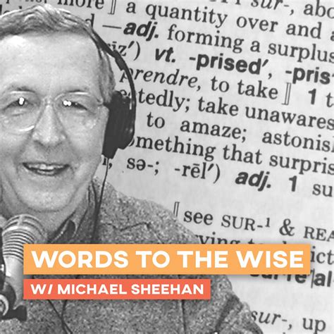 Words To The Wise Podcast Words To The Wise Listen Notes