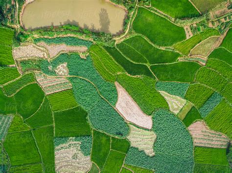 Aerial Photography Bird Eye View Of Farm Farmland Nature Landsca By