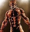 Bronze Tiger | Wiki | Comics Amino
