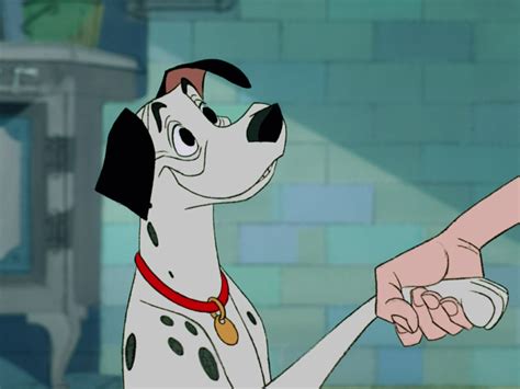 Patch's london adventure, in which pongo and perdy's son patch is accidentally left behind when the family moves to the country, and feeling unappreciated. 10 Things You Didn't Know About 101 DALMATIANS - The Fandom