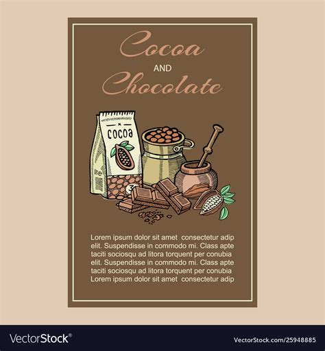 Cocoa Superfood Organic Healthy Food Royalty Free Vector