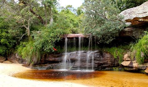 Collins Flat Beach NSW National Parks