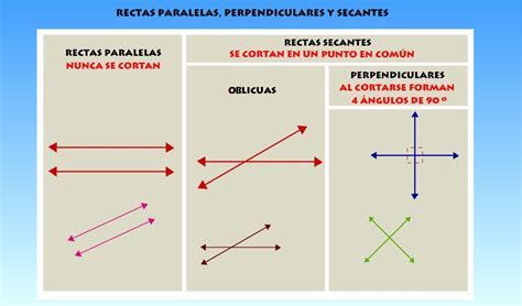 Ficha De Tipos De Rectas Paralelas Y Perpendiculares Rectas Matematicas