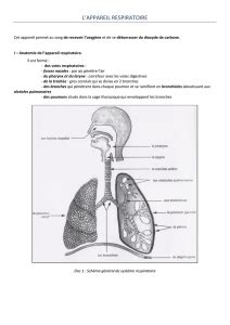 Toujours par groupes de deux: les fonctions du vivant : les fonctions de nutrition ...