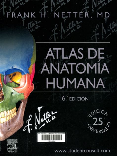 Atlas De Anatomía Humana Frank H Netter Barcelona Elsevier Masson