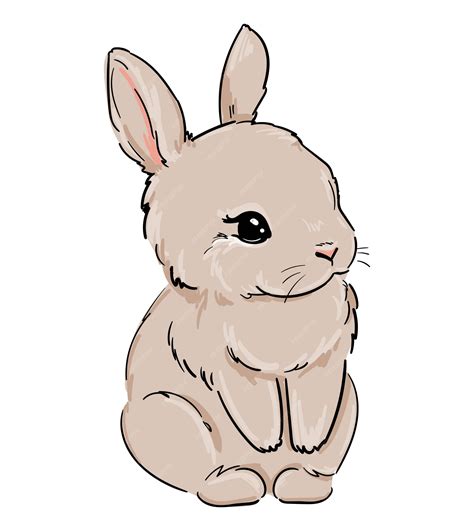 Premium Vector Rabbit Hand Drawn Cute Bunny Illustration