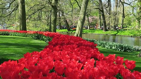 Keukenhof Garden 2019 Lisse Netherlands Youtube