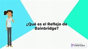 Reflejo de Bainbridge - YouTube