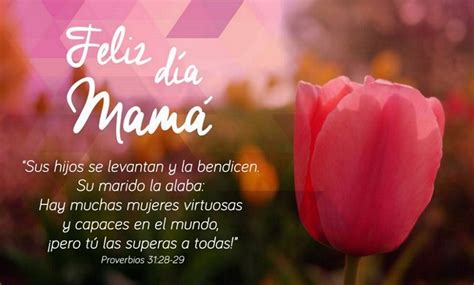 Día De La Madre 21 Versículos Bíblicos Para Tu Mamá