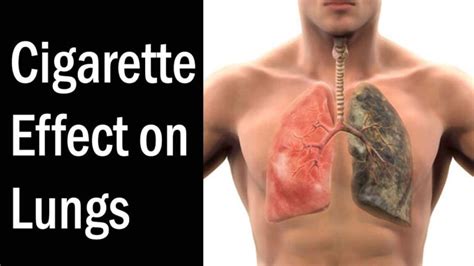 Cigarette Effect On Lungs How To Quit Smoking Health Effects