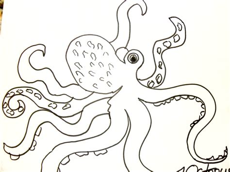 Easy Octopus Drawing At Getdrawings Free Download