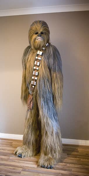 Star Wars Fans Incredible Homemade Chewbacca Costume