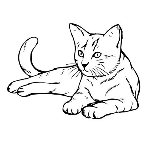 Dibujo A Mano Alzada Ilustración De Gato Gatito Garabato Dibujado A