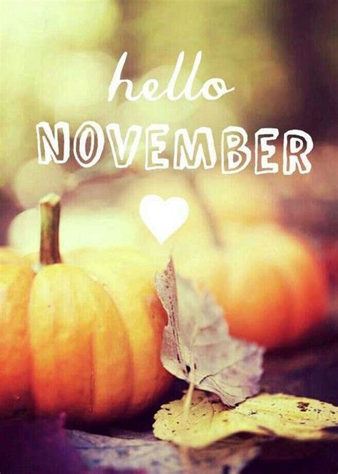 Novembre Sweet November Hello November November Month Days And