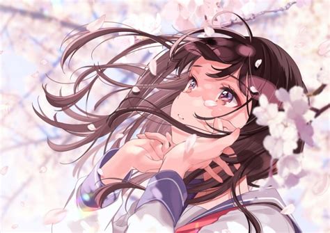 Wallpaper Anime Girl Brown Hair Sakura Blossom Wind
