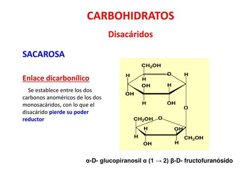 Ppt Carbohidratos Reacciones De Los Monosacáridos Powerpoint