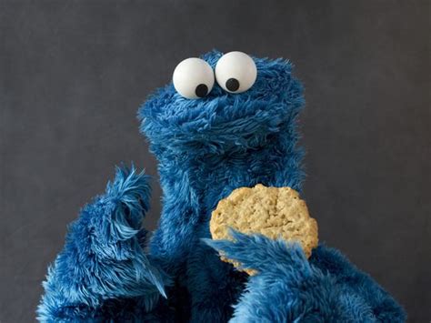 13 Things You Should Know About Cookie Monster On His 47th Birthday