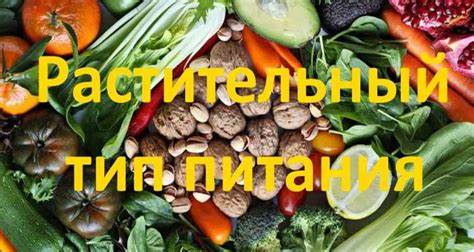 Цельно растительная диета Растительный тип питания в 2021 г | Растительная диета, Насыщенные жиры Растительный тип питания в 2021 г | Растительная диета, Насыщенные жиры Цельно растительная диета