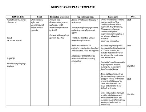 Care Plan Template 2 Ineffective Airway Clearance Nursing Care Plan