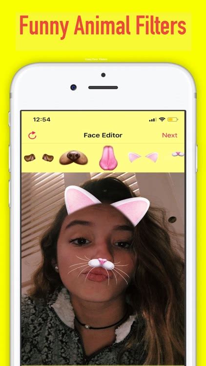 Fun Faceapp Photo Filters By Interclick Media Pte Ltd