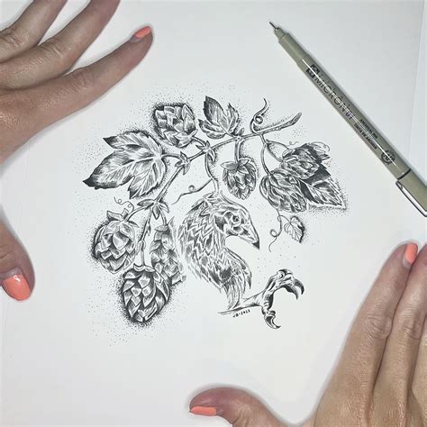 Pen And Ink Illustration Of Hop Vine By Jen Borror Hoot Design Studio