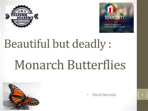 biology 101 power point presentation on monarch butterflies