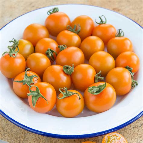 Buy Tomato Orange Paruche F1 Seeds Online Marshalls Marshalls Garden