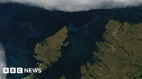Nasa Image Shows Phytoplankton Bloom Off Scotland