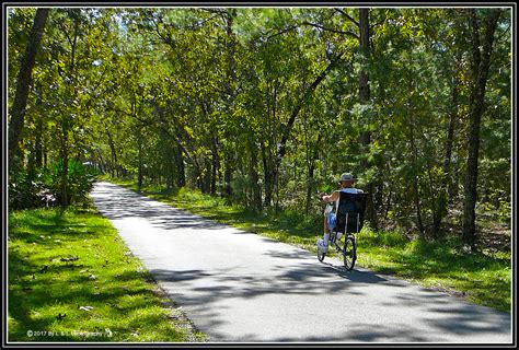 Ocala Central Florida And Beyond Biking The Greenway