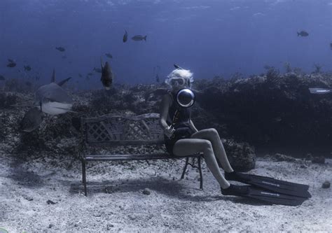 Tips For Freediving With Sharks