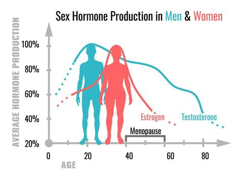 What Is Testosterone And Why Do Both Men And Women Need It Gilmore Health News