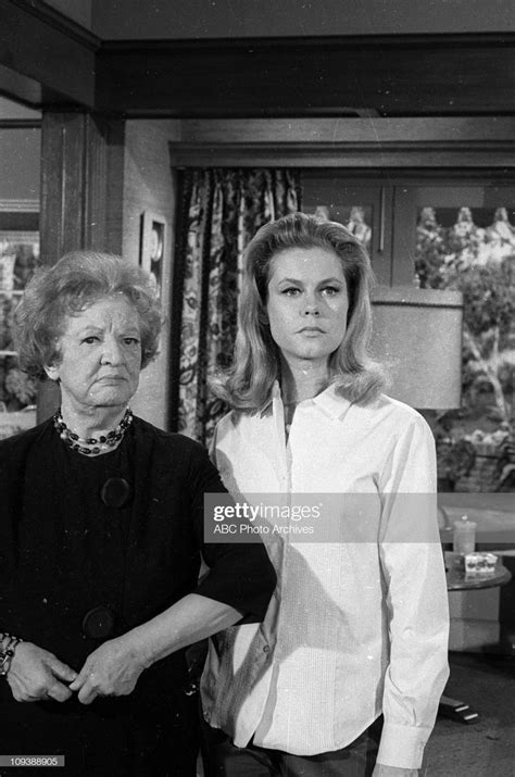 Pin By Anne Wells On Bewitched Cast Of Characters Elizabeth Montgomery Bewitched Tv Show