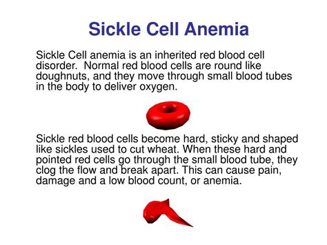 Ppt Sickle Cell Anemia Powerpoint Presentation Free Download Id1217270
