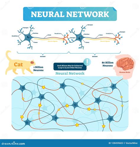 Neural Net Neuron Network Deep Learning Cognitive Technology Concept