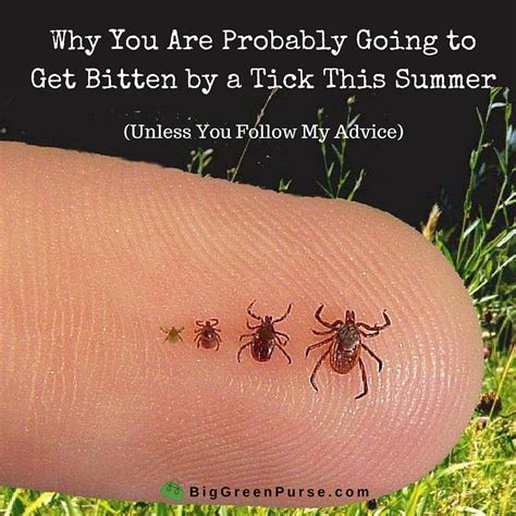 How To Prevent A Tick Bite