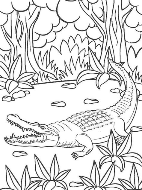 Blog De Geografia Crocodilo Desenho Para Imprimir E Colorir Pdmrea