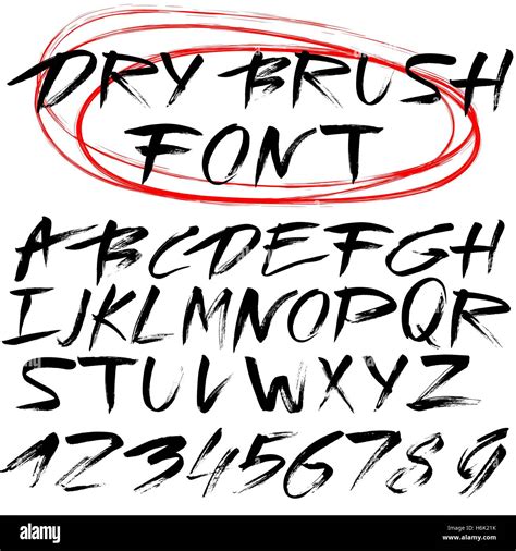 Hand Drawn Brush Script Font Vector Type Stock Vector
