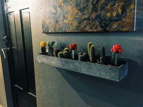 Lets see how a plant kept in a balcony feels on b. 30 Best Creative Cactus Decorations to Beautify Your Home ...