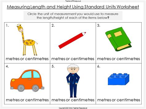 Measuring Length And Height Using Standard Units Year 1 Teaching