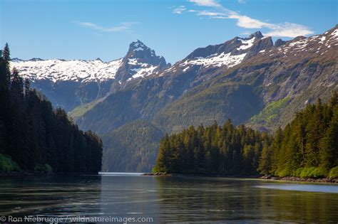 Tongass National Forest Inside Passage Alaska Photos By Ron Niebrugge