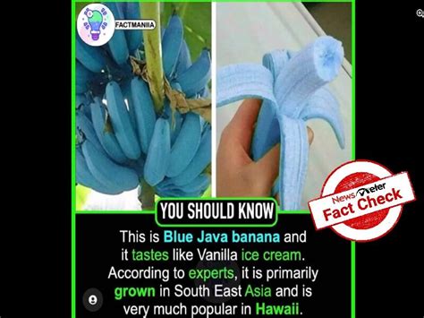Does Blue Banana Exist In The World
