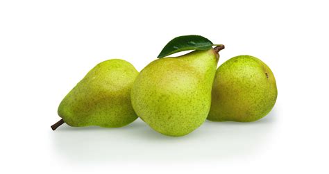 State Fruit Of Oregon Pear Symbol Hunt