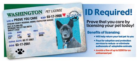 Dog license fees help pay for the care of lost and orphaned pets; Pet Licensing Info - Wandermere Animal Hospital - Spokane, WA