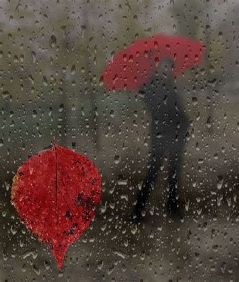Red In The Rain Autumn Rain Red Umbrella Rain Art