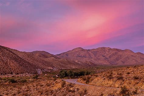 The Soft Colorful Desert Photograph By Peter Tellone Fine Art America