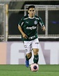 Raphael Veiga Png : Palmeiras x Fortaleza: onde assistir, horário e ...