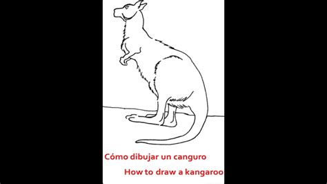 Como Dibujar Un Canguro